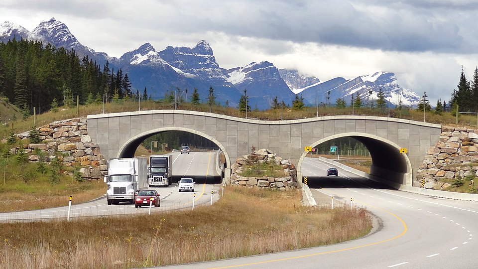 File:Wildlife overpass Trans-Canada Hwy between Banff and LakeLouise Alberta.jpg