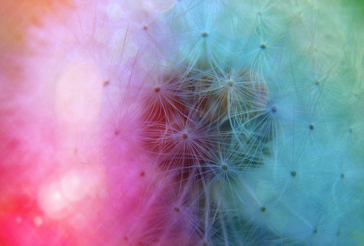 intelligent design hero